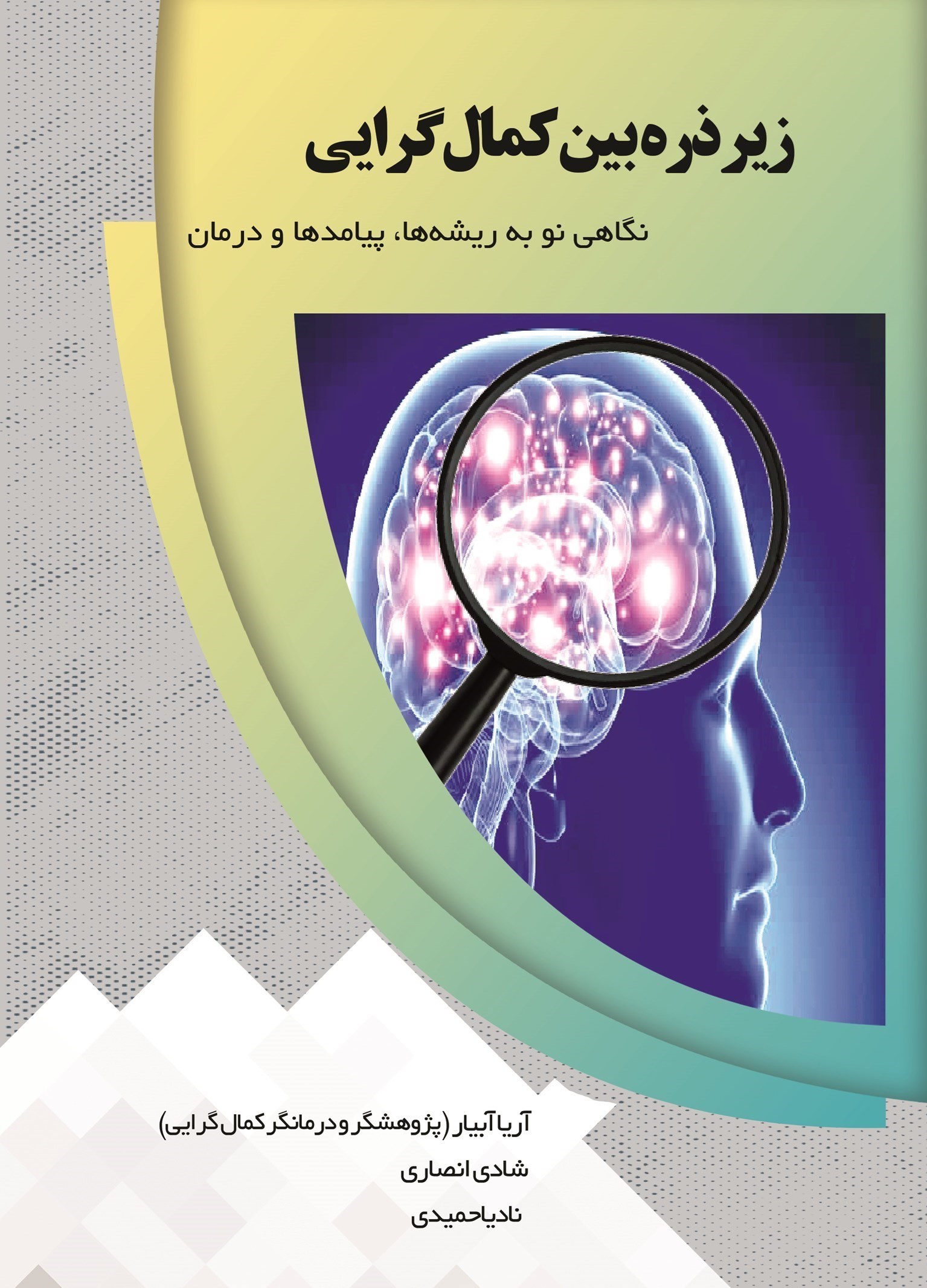 تصویر جلد کتاب زیر ذره بین کمال گرایی