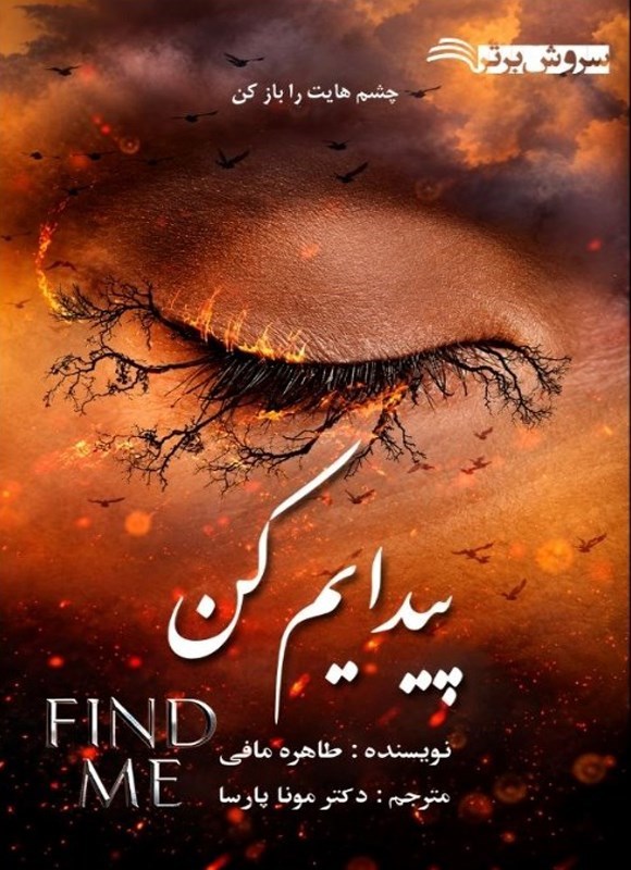 تصویر جلد کتاب پیدایم کن