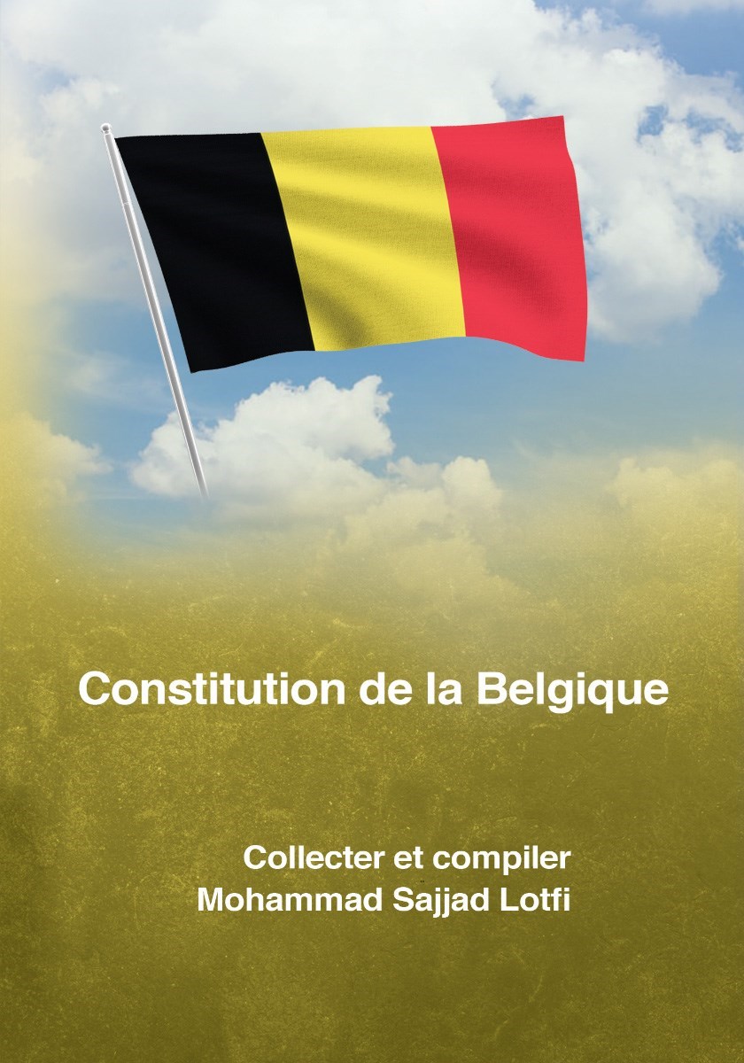 تصویر جلد کتاب Constitution de la Belgique