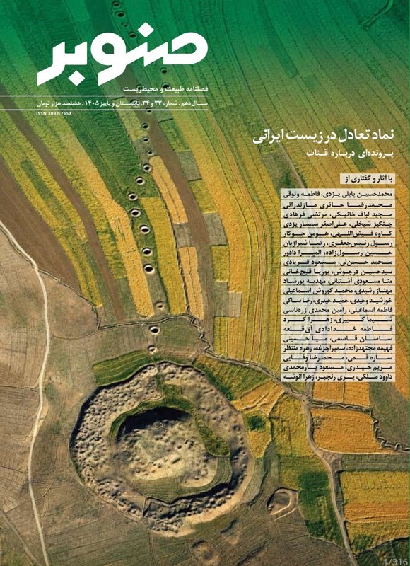تصویر جلد کتاب فصلنامه صنوبر ـ شماره ۳۳ و ۳۴ ـ تابستان و پاییز ۱۴۰۵
