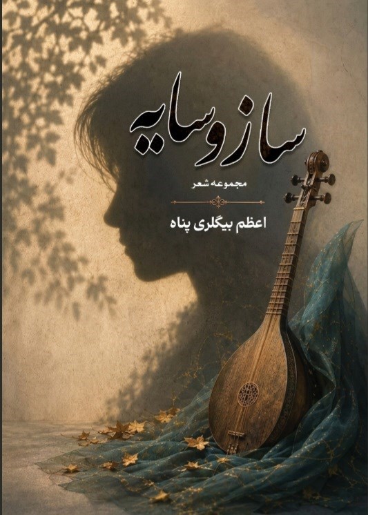 تصویر جلد کتاب ساز و سایه