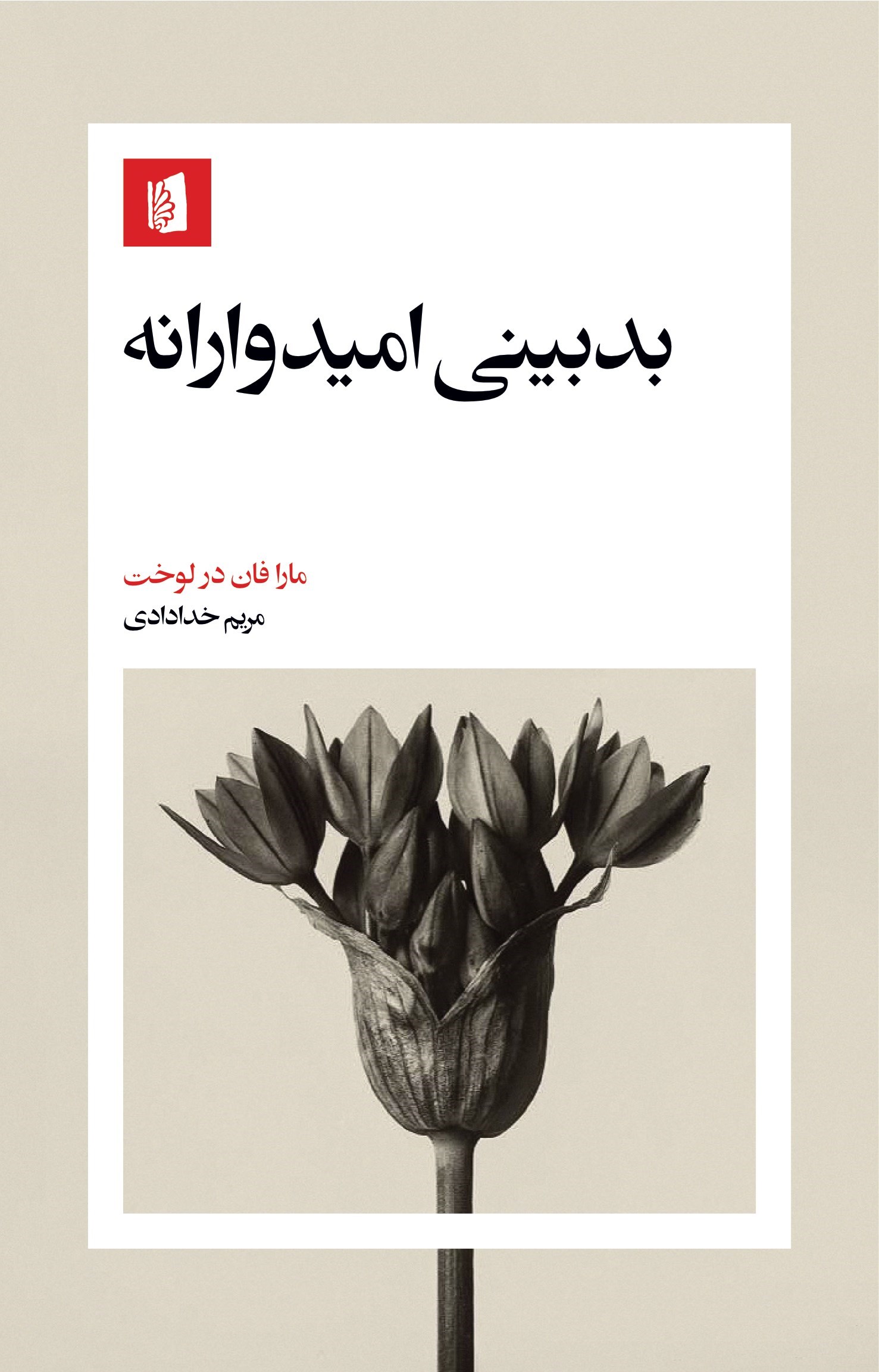 تصویر جلد کتاب بدبینی امیدوارانه