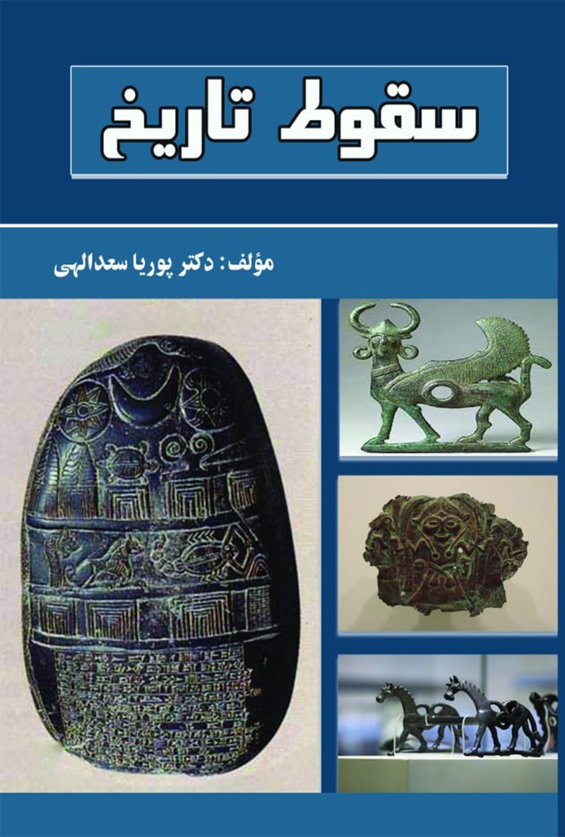 تصویر جلد کتاب سقوط تاریخ