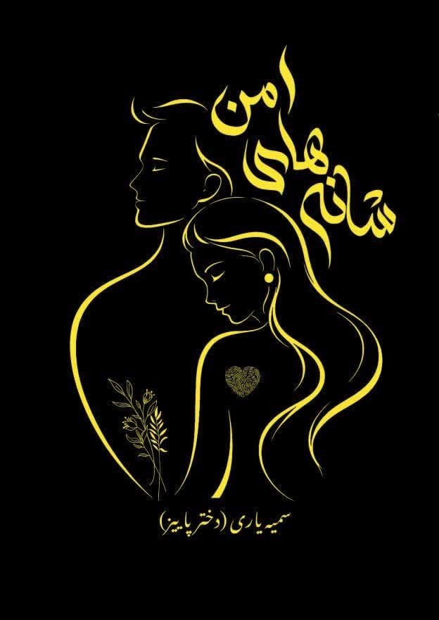 تصویر جلد کتاب شانه های امن