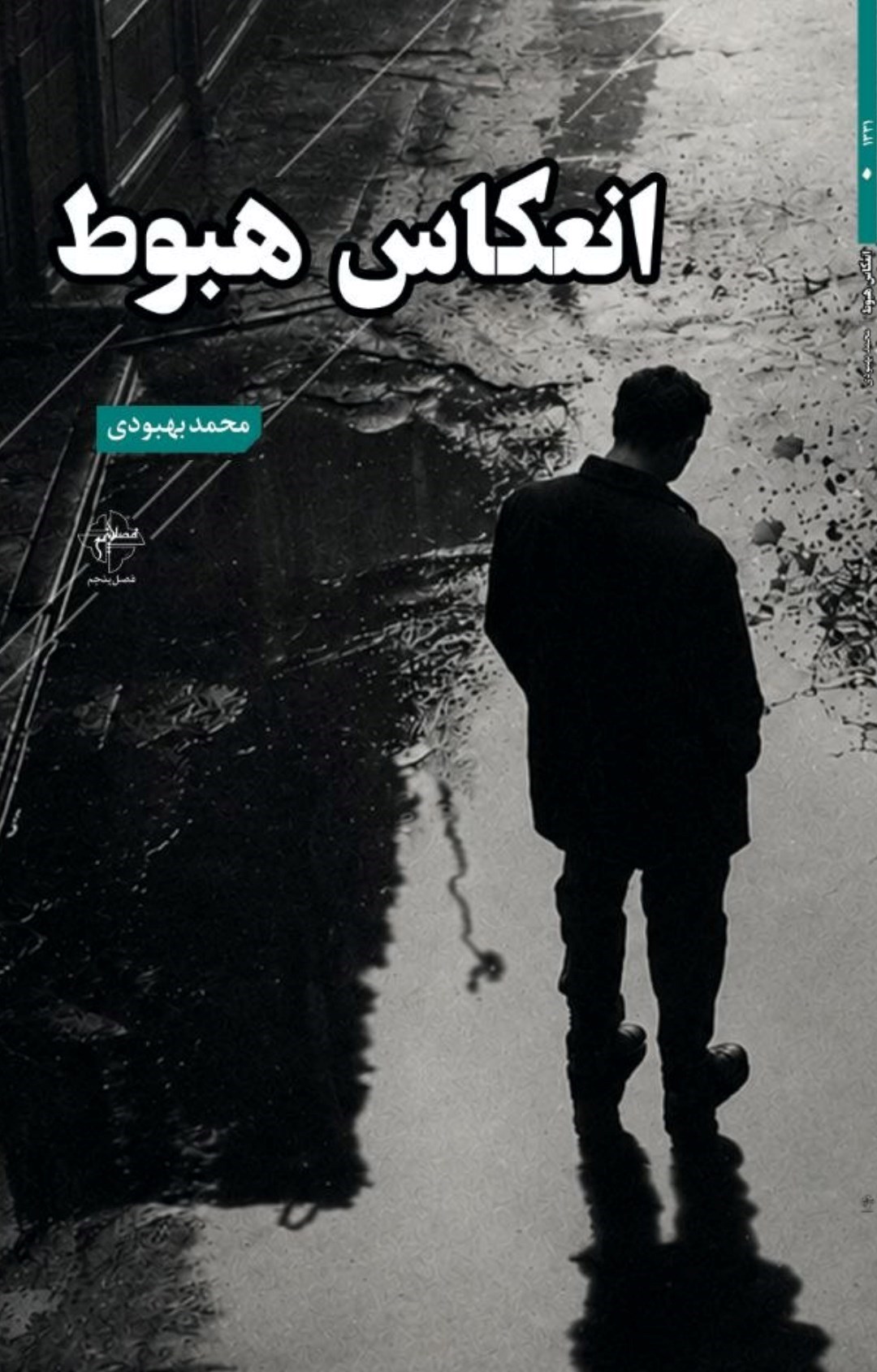 تصویر جلد کتاب انعکاس هبوط