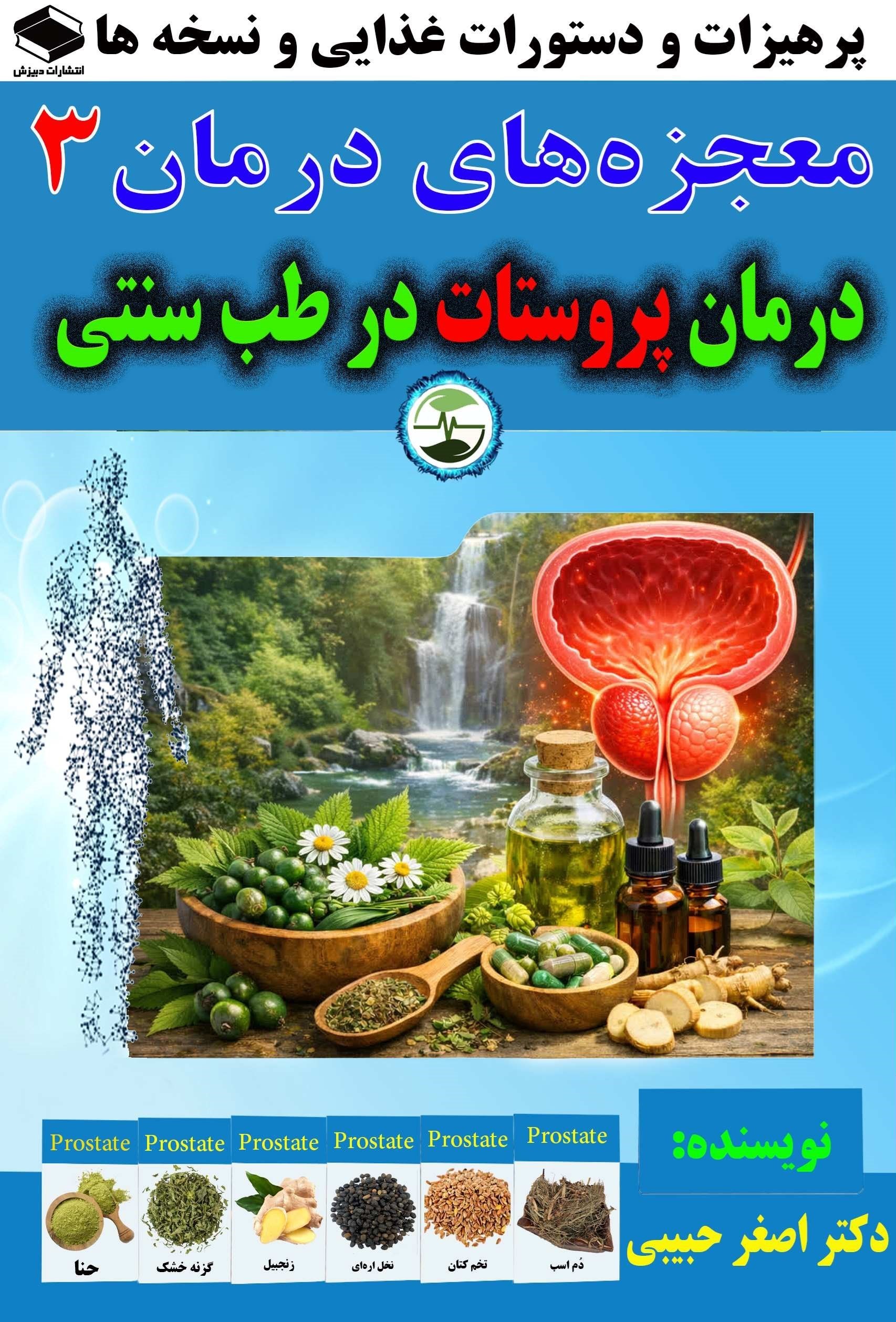 تصویر جلد کتاب درمان پروستات در طب سنتی
