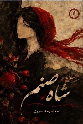 تصویر جلد کتاب شاه صنم