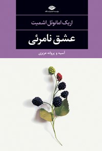 تصویر جلد کتاب عشق نامرئی