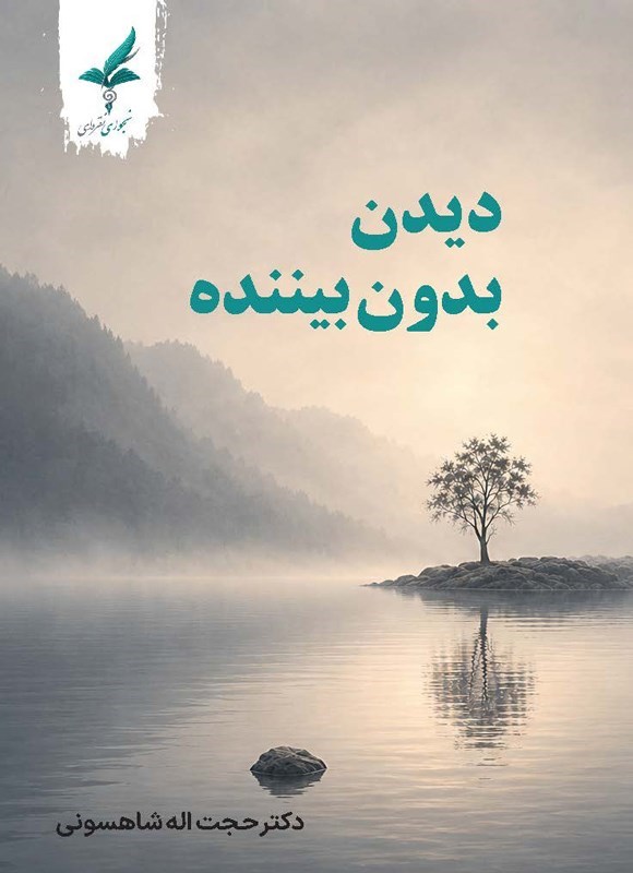 تصویر جلد کتاب دیدن بدون بیننده