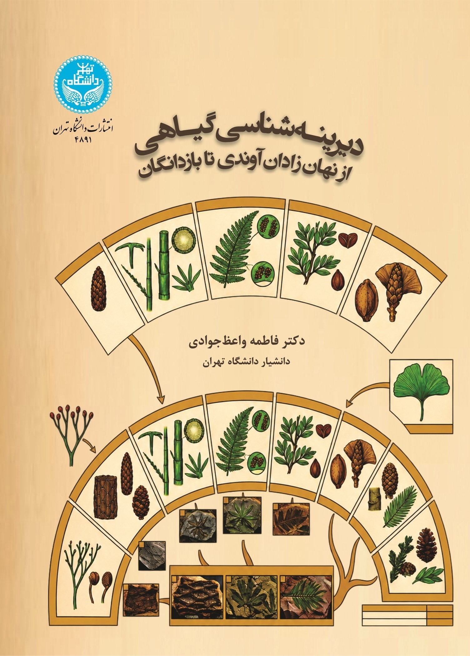تصویر جلد کتاب دیرینه شناسی گیاهی