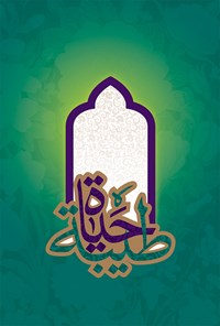 تصویر جلد کتاب حیات طیبه