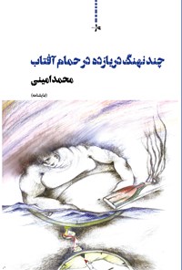 کتاب چند نهنگ دریازده در حمام آفتاب اثر محمد امینی