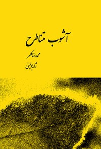 تصویر جلد کتاب آشوب متناطرح