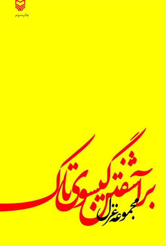 تصویر جلد کتاب برآشفتن گیسوی تاک