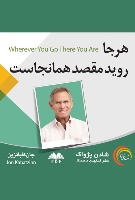 تصویر جلد کتاب هر جا روید مقصد همانجاست