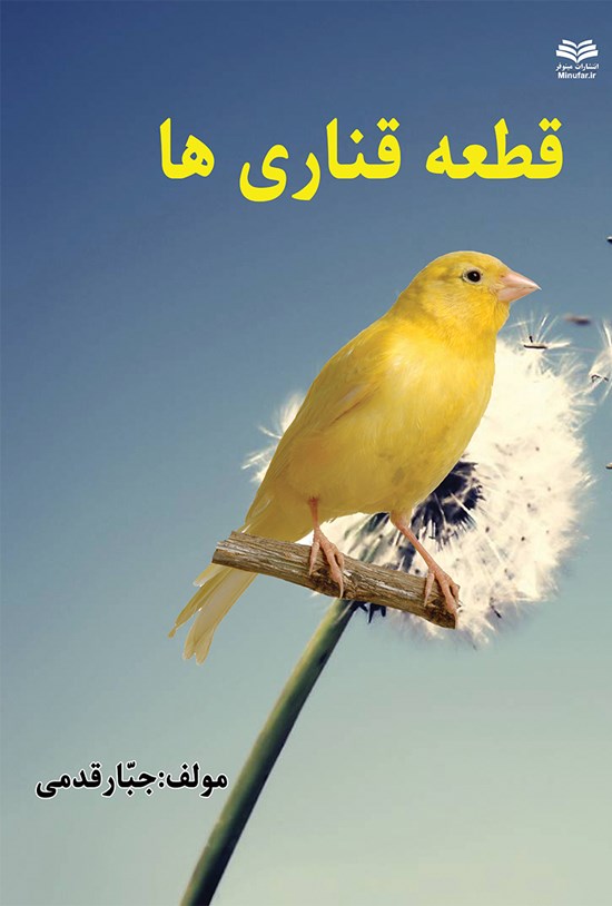 تصویر جلد کتاب قطعهی قناریها