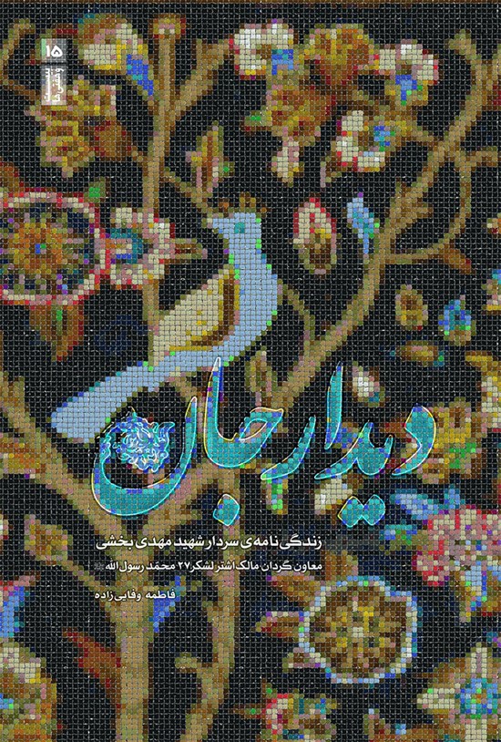 تصویر جلد کتاب دیدار جان