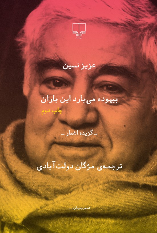 تصویر جلد کتاب بیهوده میبارد این باران