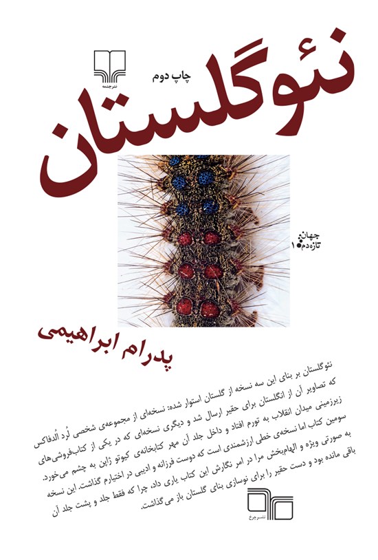تصویر جلد کتاب نئو گلستان