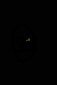 تصویر جلد کتاب ناسر