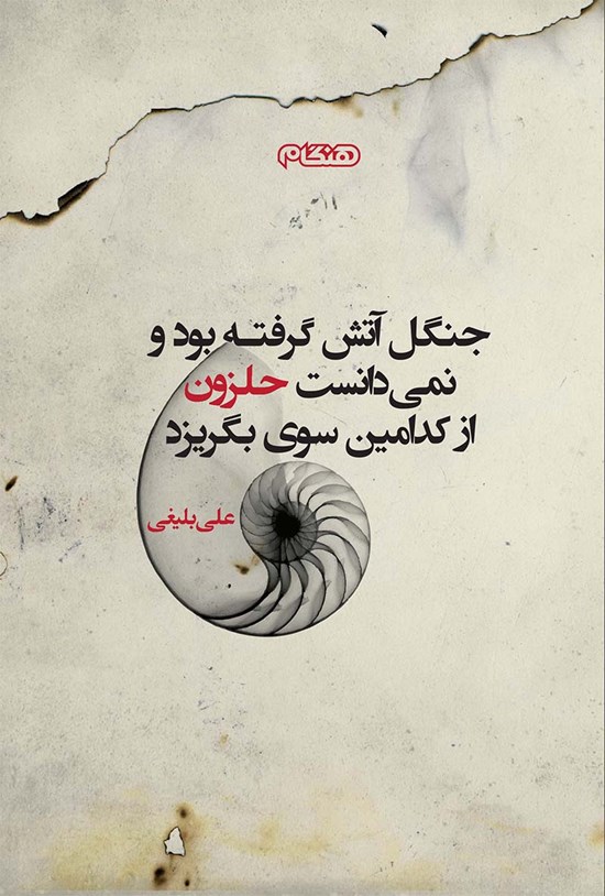 تصویر جلد کتاب جنگل آتش گرفته بود و نمیدانست حلزون از کدام سوی بگریزد