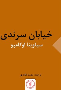 تصویر جلد کتاب خیابان سرندی