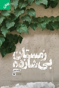 تصویر جلد کتاب زمستان بی شازده