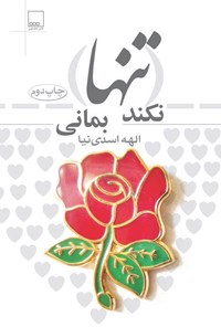 کتاب نکند تنها بمانی اثر الهه اسدی‌نیا