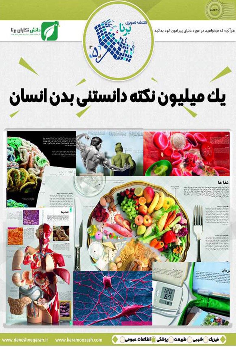 تصویر جلد کتاب یک میلیون نکتهی دانستنی بدن انسان