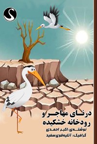 کتاب درنای مهاجر و رودخانه خشکیده اثر اکبر احمدی