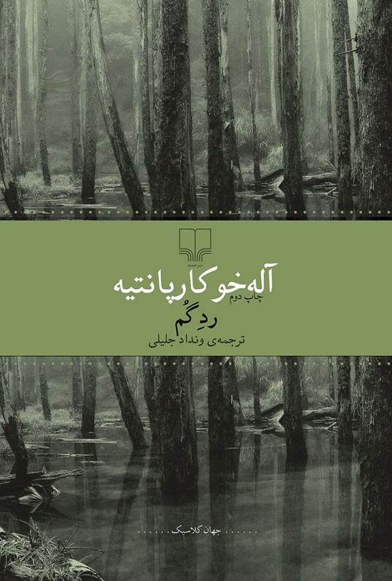 تصویر جلد کتاب رد گم