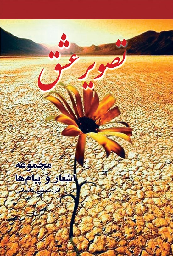 تصویر جلد کتاب تصویر عشق: مجموعه اشعار و پیامها