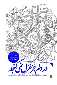 کتاب در دلم جز غزل نمی گنجد اثر مصطفی جلیلیان مصلحی