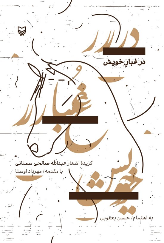 تصویر جلد کتاب در غبار خویش