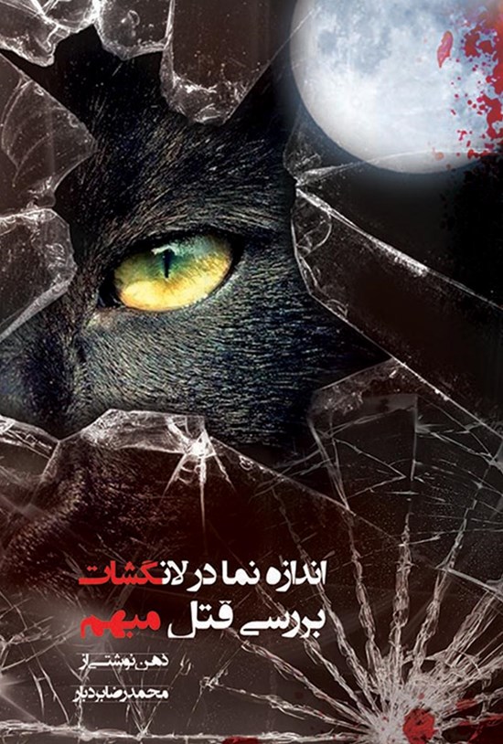 تصویر جلد کتاب اندازهنما در لانگشات بررسی قتل مبهم