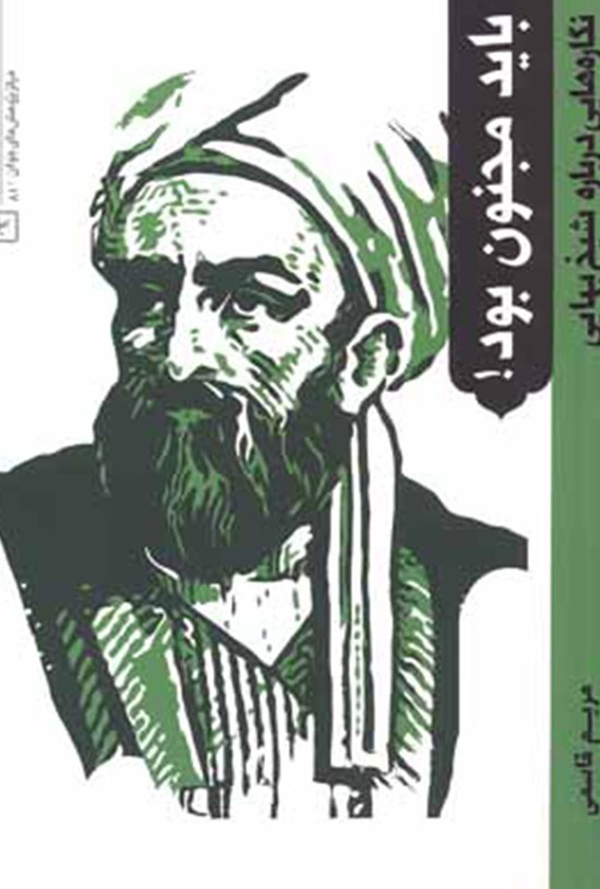 تصویر جلد کتاب باید مجنون بود؛ نگارههایی دربارهی شیخ بهایی
