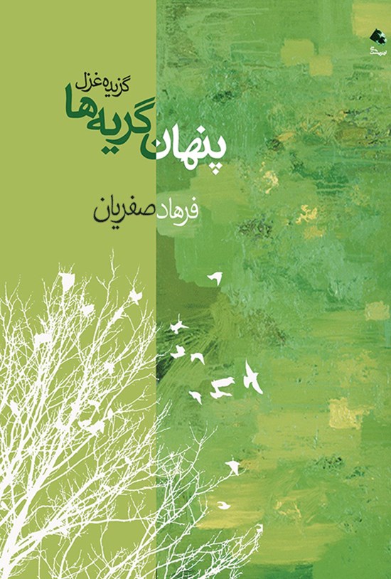 تصویر جلد کتاب پنهان گریهها
