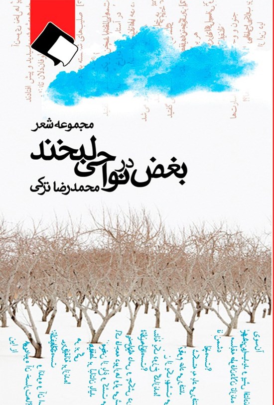 تصویر جلد کتاب بغض در نواحی لبخند
