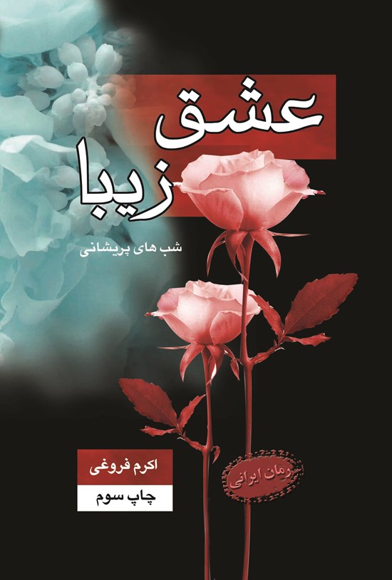 تصویر جلد کتاب عشق زیبا