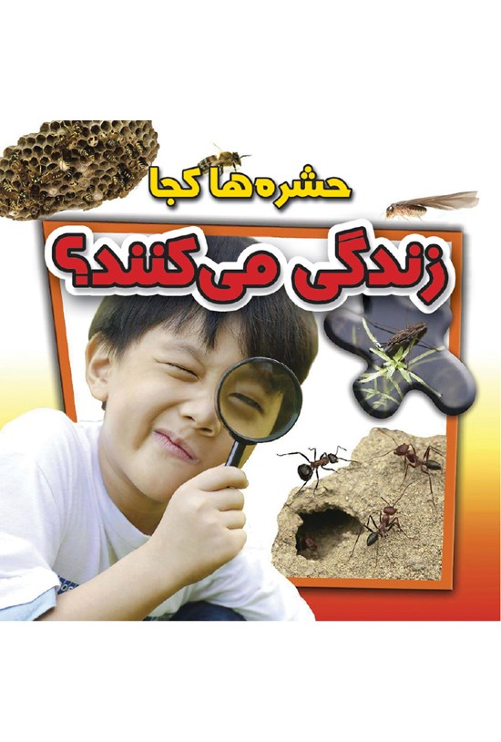 تصویر جلد کتاب حشرهها کجا زندگی میکنند؟