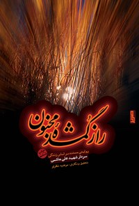 کتاب راز گمشده مجنون اثر مرضیه نظرلو