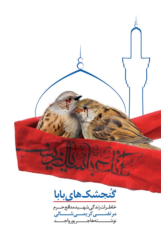 تصویر جلد کتاب گنجشکهای بابا