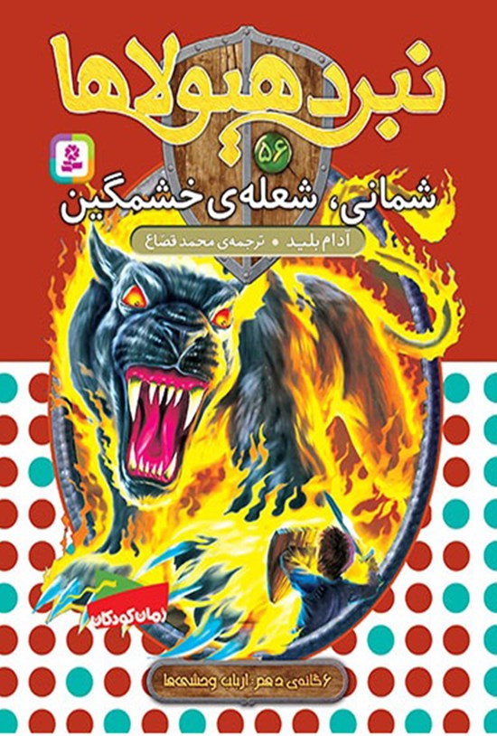 تصویر جلد کتاب شمانی شعلهی خشمگین