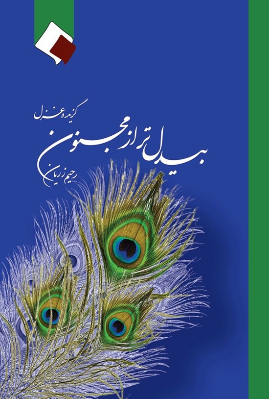 تصویر جلد کتاب بیدلتر از مجنون