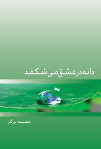 کتاب دانه در عشق می شکفد اثر مسیحا  برزگر