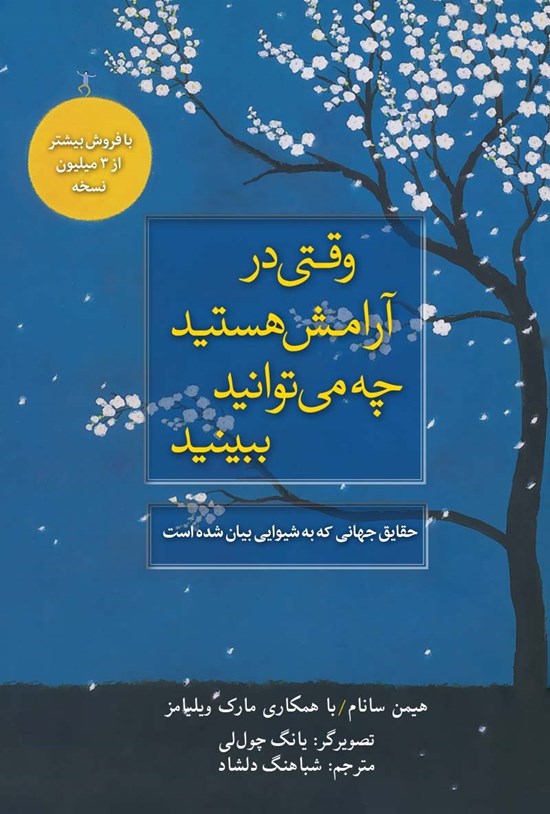 تصویر جلد کتاب وقتی در آرامش هستید چه میتوانید ببینید