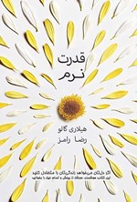 قدرت نرم اثر هیلاری گالو