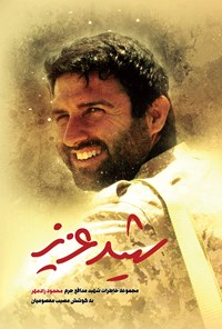 تصویر جلد کتاب شهید عزیز