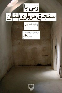 کتاب زنی با سنجاق مرواری نشان اثر رضیه  انصاری