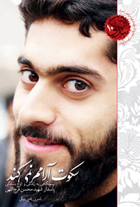 تصویر جلد کتاب سکوت آرامم نمیکند